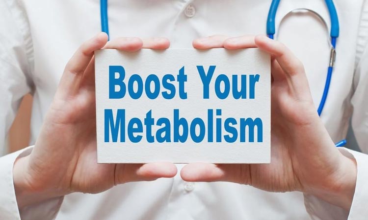 The facts about metabolism